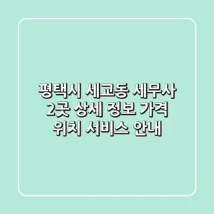 평택시 세교동 세무사 2곳 상세 정보 - 가격, 위치, 서비스 안내