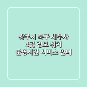 광주시 북구 세무사 3곳 정보 - 위치, 운영시간, 서비스 안내