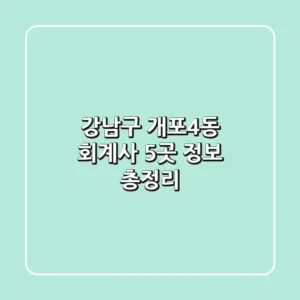 강남구 개포4동 회계사 5곳 정보 총정리