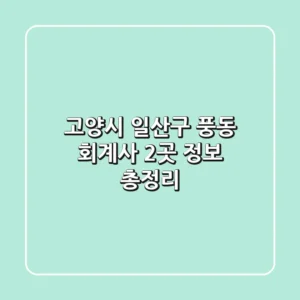 고양시 일산구 풍동 회계사 2곳 정보 총정리