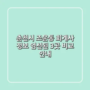 춘천시 조운동 회계사 정보: 엄선된 3곳 비교 안내