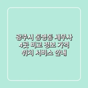 광주시 동명동 세무사 4곳 비교 정보 - 가격, 위치, 서비스 안내