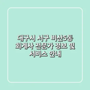 대구시 서구 비산5동 회계사: 전문가 정보 및 서비스 안내