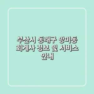 부산시 동래구 망미동 회계사 정보 및 서비스 안내