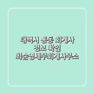 태백시 통동 회계사 정보 확인 - 최순영세무회계사무소