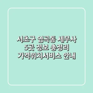 서초구 염곡동 세무사 5곳 정보 총정리 - 가격/위치/서비스 안내