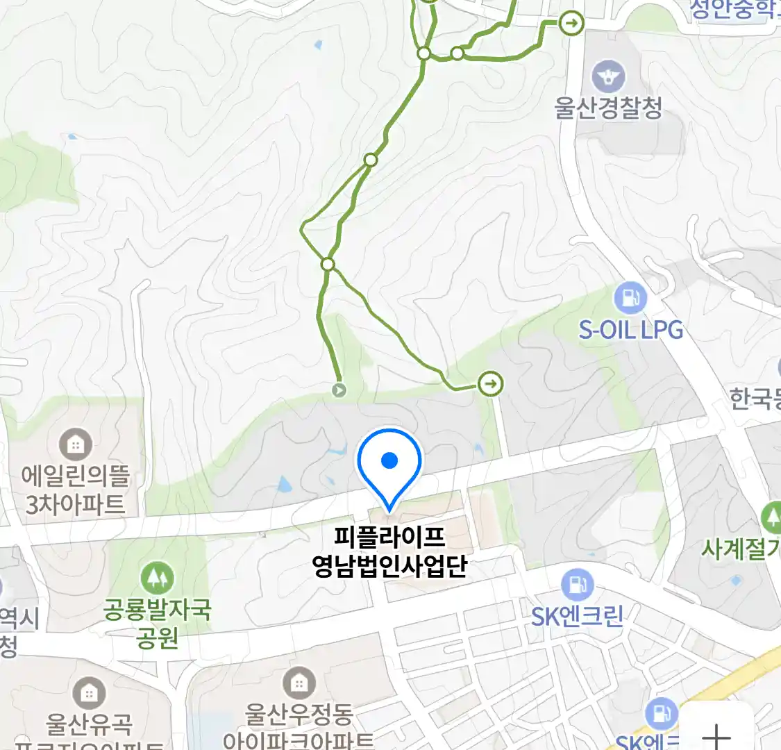 피플라이프 영남법인사업단 위치
