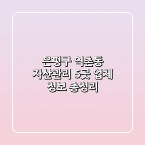 은평구 역촌동 자산관리: 5곳 업체 정보 총정리