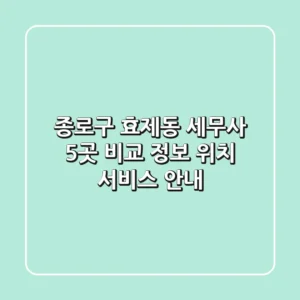 종로구 효제동 세무사 5곳 비교 - 정보, 위치, 서비스 안내