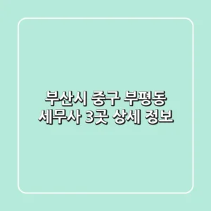 부산시 중구 부평동 세무사 3곳 상세 정보