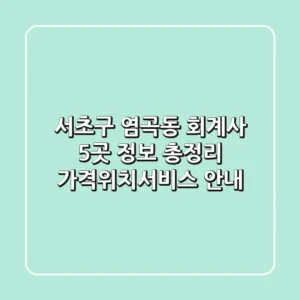 서초구 염곡동 회계사 5곳 정보 총정리 - 가격/위치/서비스 안내