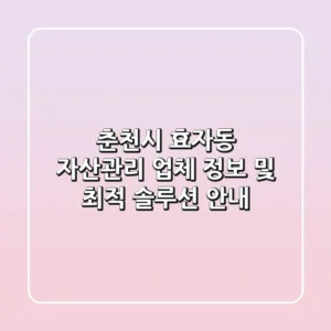 춘천시 효자동 자산관리 업체 정보 및 최적 솔루션 안내