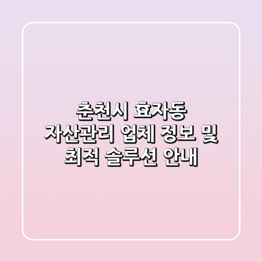 춘천시 효자동 자산관리 업체 정보 및 최적 솔루션 안내