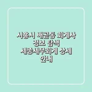 시흥시 배곧동 회계사 정보 탐색: 세종세무회계 상세 안내