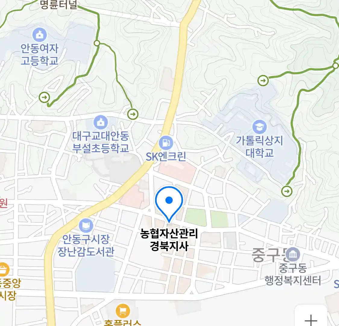 농협자산관리 경북지사 위치