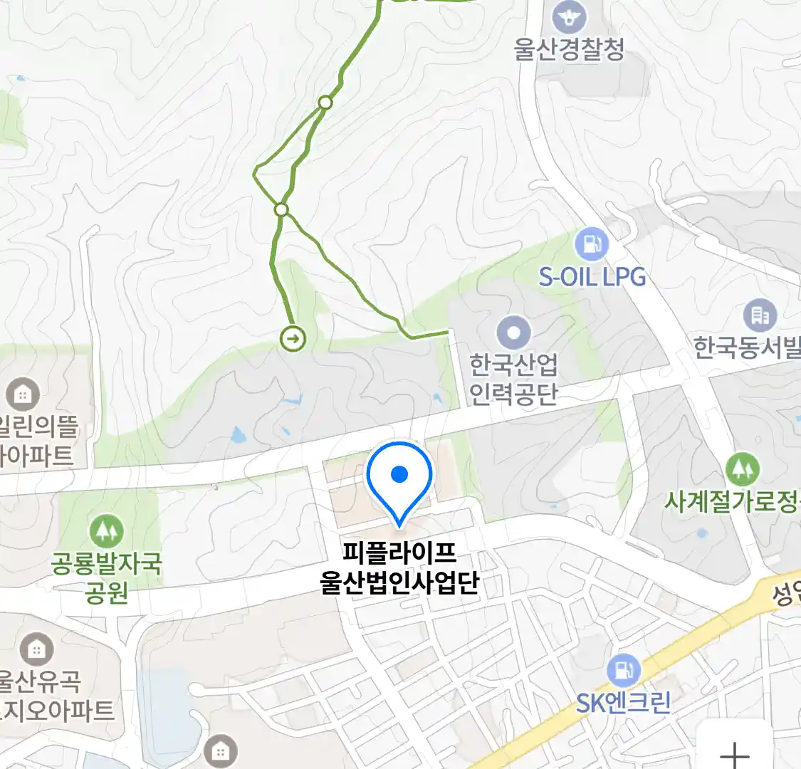 피플라이프 울산법인사업단 위치