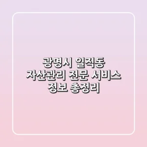 광명시 일직동 자산관리, 전문 서비스 정보 총정리
