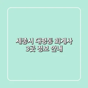 세종시 대평동 회계사 3곳 정보 안내