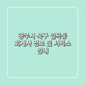 광주시 북구 일곡동 회계사 정보 및 서비스 안내