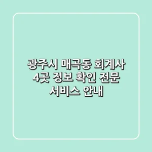 광주시 매곡동 회계사 4곳 정보 확인 - 전문 서비스 안내