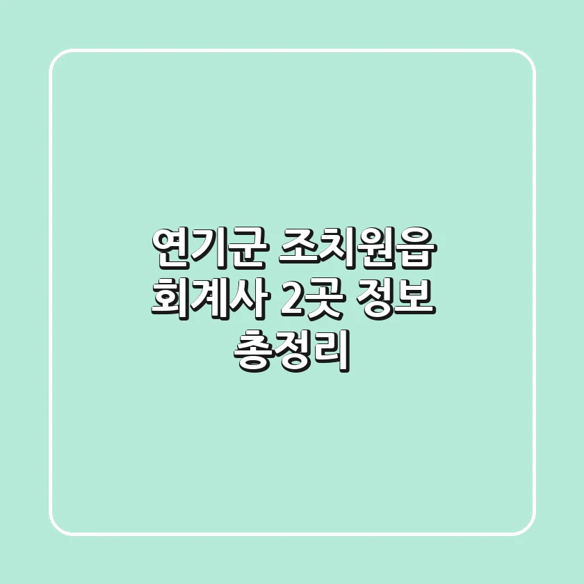 연기군 조치원읍 회계사 2곳 정보 총정리