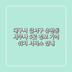 대구시 달서구 유천동 세무사 5곳 정보 - 가격, 위치, 서비스 안내