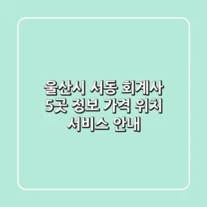 울산시 서동 회계사 5곳 정보 - 가격, 위치, 서비스 안내