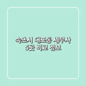 속초시 대포동 세무사 5곳 비교 정보