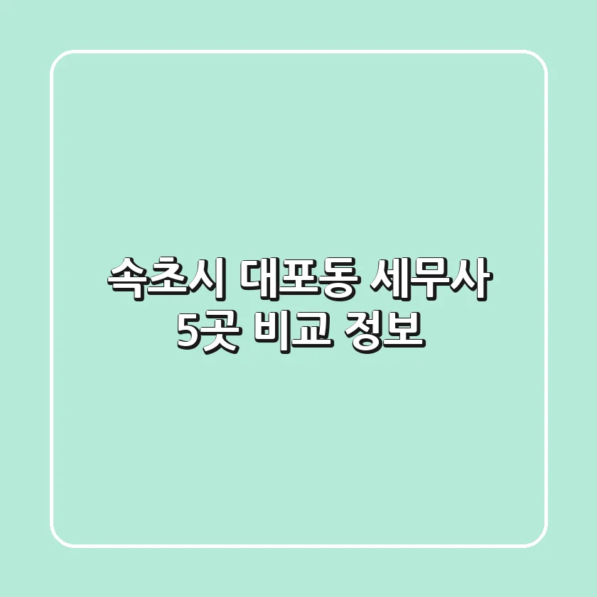 속초시 대포동 세무사 5곳 비교 정보