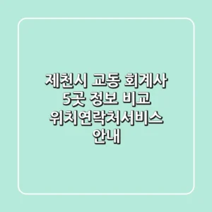 제천시 교동 회계사 5곳 정보 비교 - 위치/연락처/서비스 안내