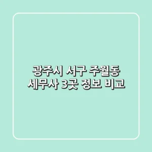 광주시 서구 주월동 세무사 3곳 정보 비교