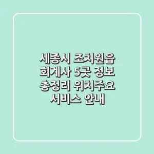 세종시 조치원읍 회계사 5곳 정보 총정리 - 위치/주요 서비스 안내