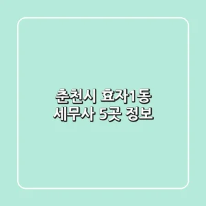 춘천시 효자1동 세무사 5곳 정보