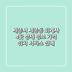 세종시 세종동 회계사 4곳 상세 정보 - 가격, 위치, 서비스 안내