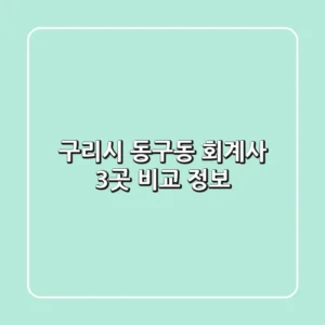 구리시 동구동 회계사 3곳 비교 정보