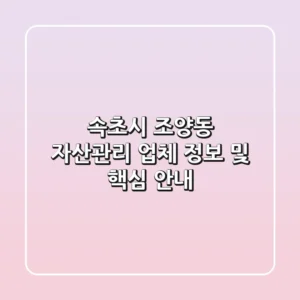 속초시 조양동 자산관리: 업체 정보 및 핵심 안내