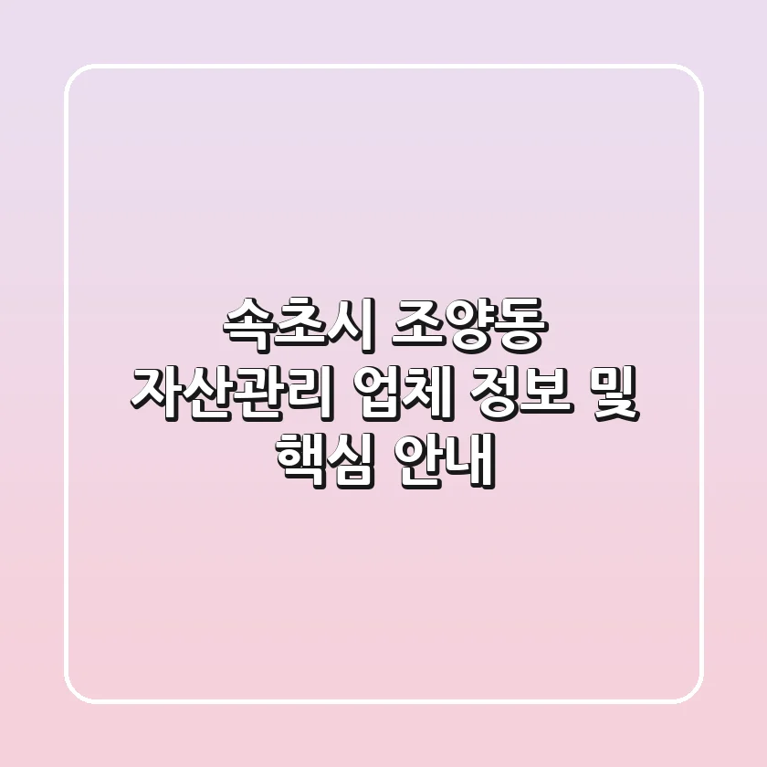 속초시 조양동 자산관리: 업체 정보 및 핵심 안내