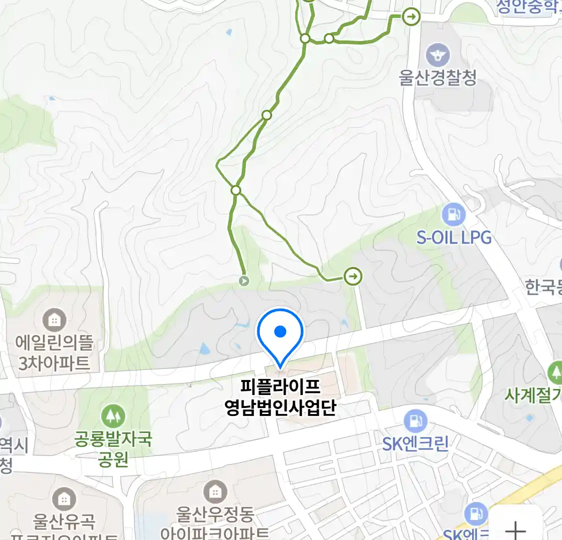 피플라이프 영남법인사업단 위치